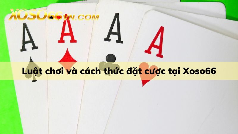 Luật chơi và đặt cược cực dễ tại Poker Texas Hold’em cùng Xoso66