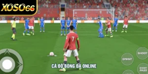 Cá Độ Bóng Đá Online -  Hình Thức Giải Trí Hot Nhất XOSO66