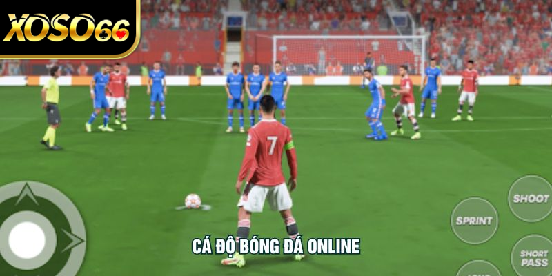 Cá Độ Bóng Đá Online -  Hình Thức Giải Trí Hot Nhất XOSO66