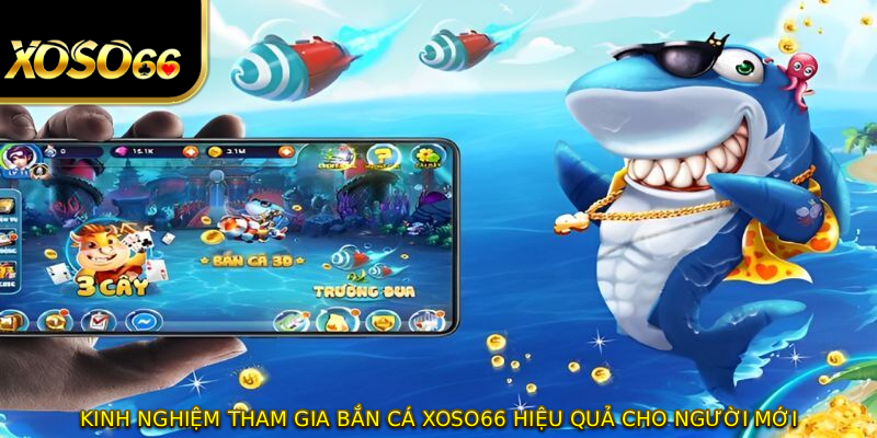 Kinh nghiệm tham gia bắn cá XOSO66 hiệu quả cho người mới