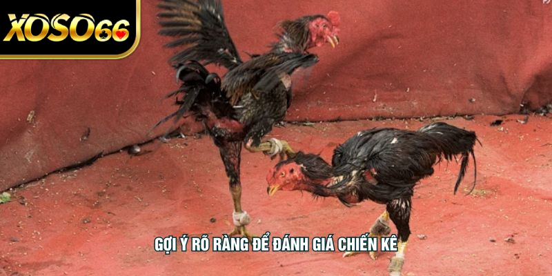 Gợi ý rõ ràng để đánh giá chiến kê