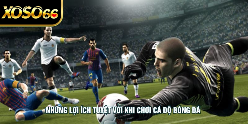 Những lợi ích tuyệt vời khi chơi cá độ bóng đá
