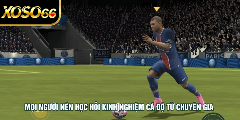 Mọi người nên học hỏi kinh nghiệm cá độ từ chuyên gia