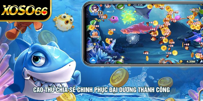 Cao thủ chia sẻ chinh phục đại dương thành công